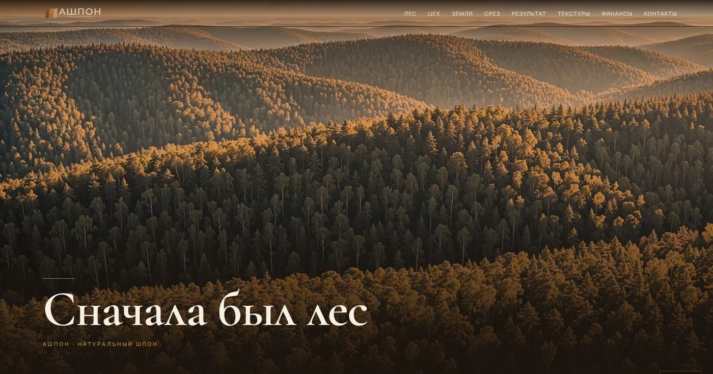 Веб-презентация АШПОН — первый экран